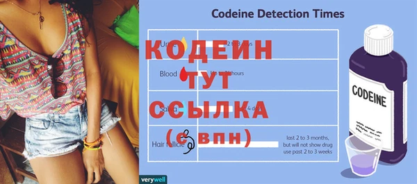 хмурый Верея