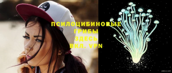 мдпв Верхний Тагил