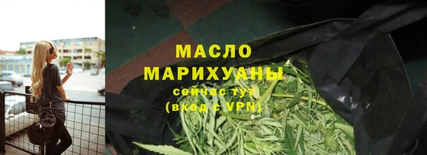 хмурый Верея