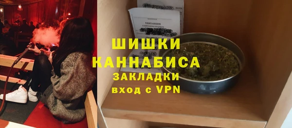 хмурый Верея