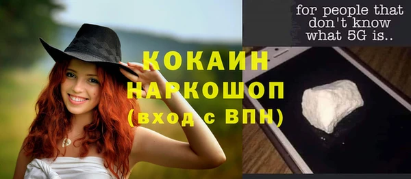 хмурый Верея