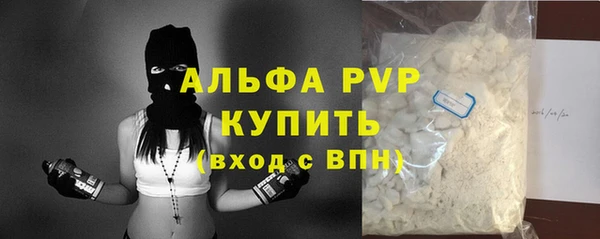 хмурый Верея