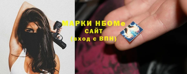 хмурый Верея