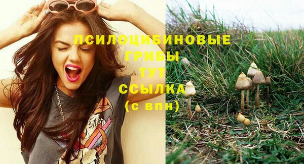 стаф Верхнеуральск