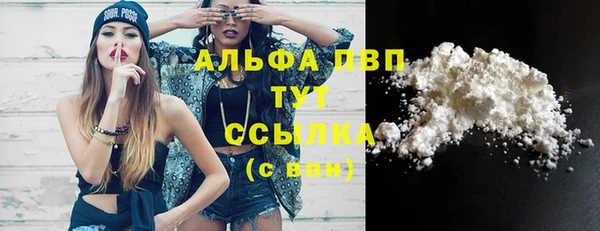 хмурый Верея